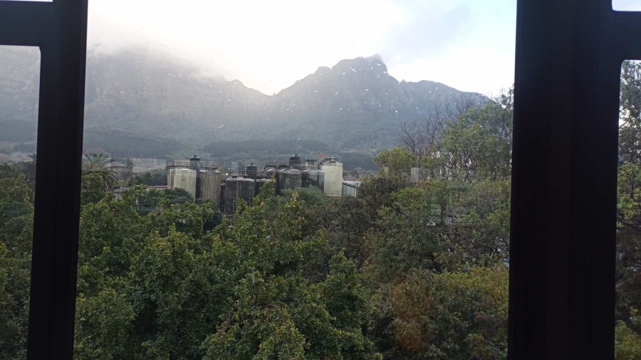 To Let commercial Property for Rent in Newlands Western Cape